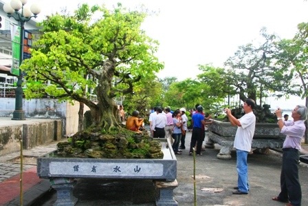 Mãn nhãn với hàng trăm cây cảnh khoe mình bên dòng Hương - 1