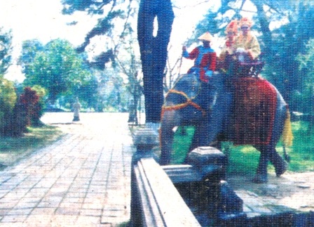 Huế: Cưỡi voi thăm cung vua hút khách ngày 30-4 - 11