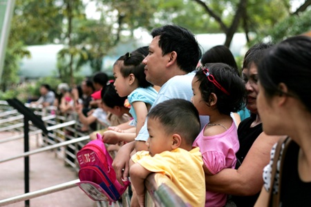 Thủ đô hân hoan ngày thống nhất non sông - 8 Thủ đô hân hoan ngày thống nhất non sông - 8