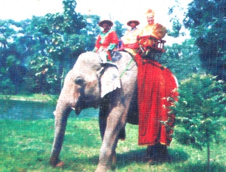 Huế: Cưỡi voi thăm cung vua hút khách ngày 30-4 - 1