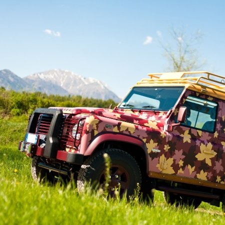 Một Land Rover Defender rực rỡ hoa lá - 10 Một Land Rover Defender rực rỡ hoa lá - 10
