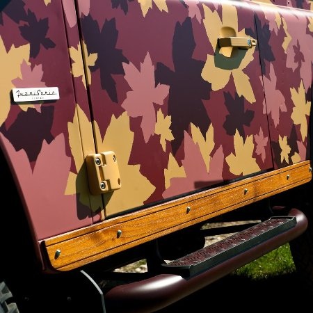 Một Land Rover Defender rực rỡ hoa lá - 3 Một Land Rover Defender rực rỡ hoa lá - 3