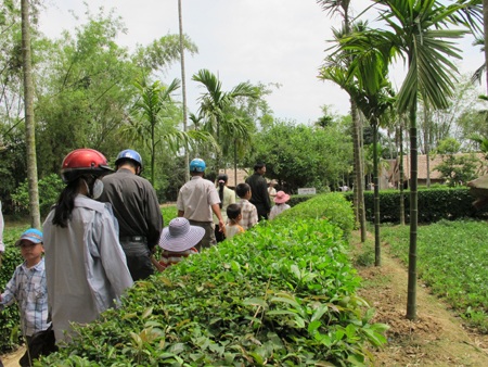 Du khách về thăm quê Bác tăng gấp đôi so với năm ngoái - 8