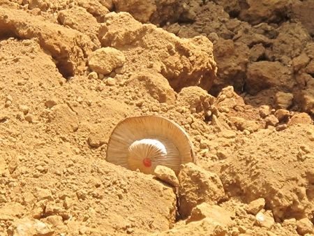 Cận cảnh hầm vàng bị sập vùi chết 5 người - 6