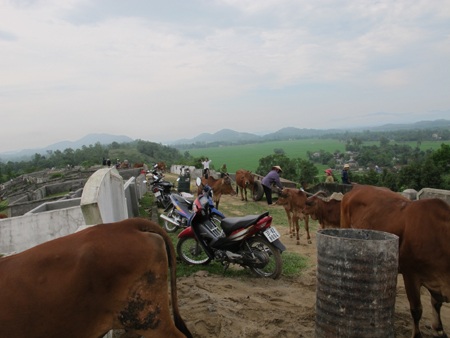  Cả làng đi tranh... đất nghĩa địa  - 8
