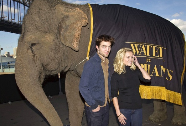 Robert Pattinson - Reese Witherspoon: “Đọ dáng” với voi - 2 Robert Pattinson - Reese Witherspoon: “Đọ dáng” với voi - 2