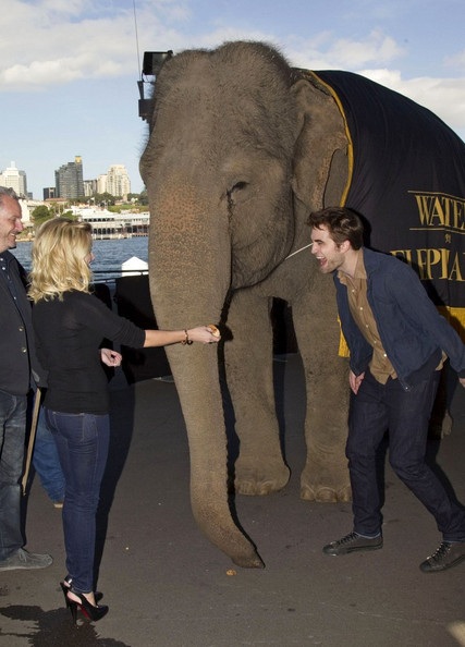 Robert Pattinson - Reese Witherspoon: “Đọ dáng” với voi - 3 Robert Pattinson - Reese Witherspoon: “Đọ dáng” với voi - 3