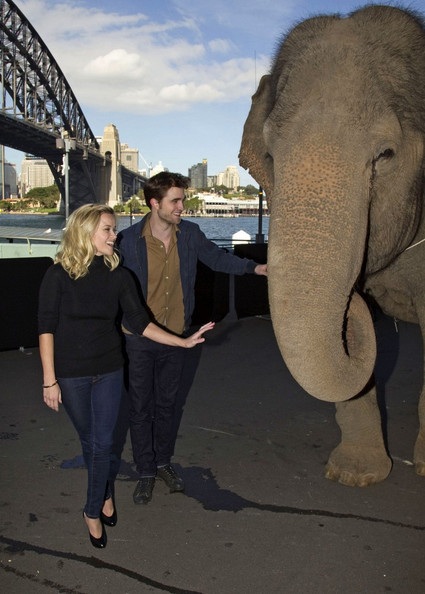 Robert Pattinson - Reese Witherspoon: “Đọ dáng” với voi - 9 Robert Pattinson - Reese Witherspoon: “Đọ dáng” với voi - 9