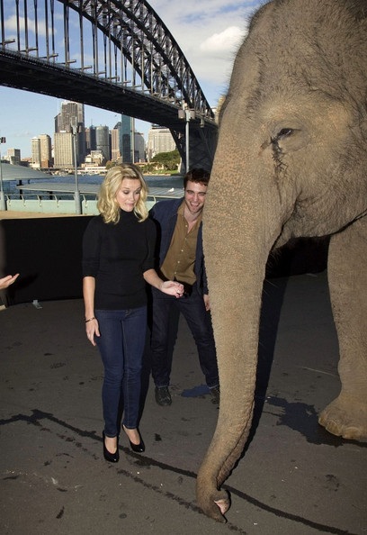 Robert Pattinson - Reese Witherspoon: “Đọ dáng” với voi - 10 Robert Pattinson - Reese Witherspoon: “Đọ dáng” với voi - 10