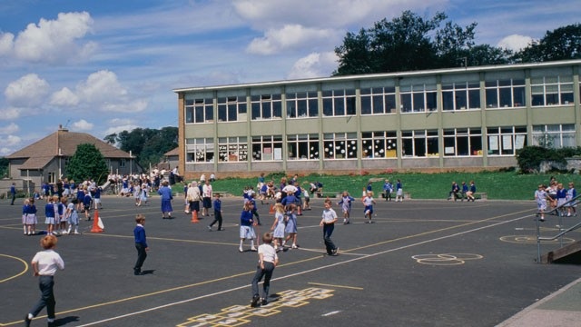 Hàng loạt trường học ở Washington hoảng hốt vì chất bột trắng - 1 Hàng loạt trường học ở Washington hoảng hốt vì chất bột trắng - 1