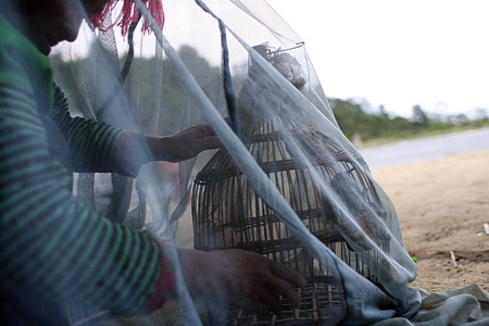 Nhịp sống trên con đèo huyền thoại - 13 Nhịp sống trên con đèo huyền thoại - 13