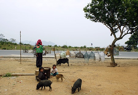 Nhịp sống trên con đèo huyền thoại - 6 Nhịp sống trên con đèo huyền thoại - 6