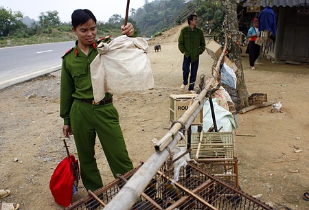 Nhịp sống trên con đèo huyền thoại - 9 Nhịp sống trên con đèo huyền thoại - 9