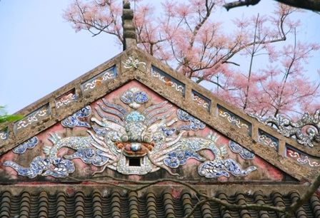 Rực sáng sắc hoa ngô đồng bên đền đài - 3