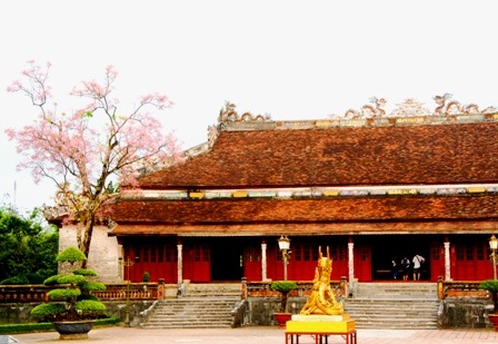 Rực sáng sắc hoa ngô đồng bên đền đài - 8