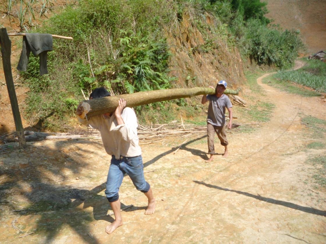 Gần 200 ngôi nhà sập và tốc mái vì lốc xoáy - 3