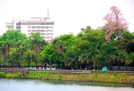 Rực sáng sắc hoa ngô đồng bên đền đài - 12