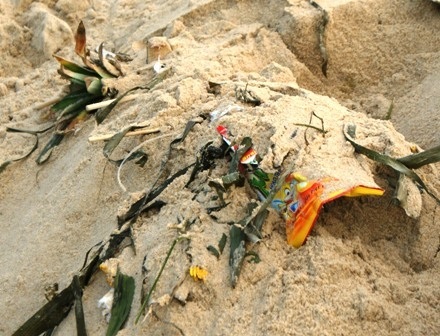 Bãi biển thành... bãi rác - 8