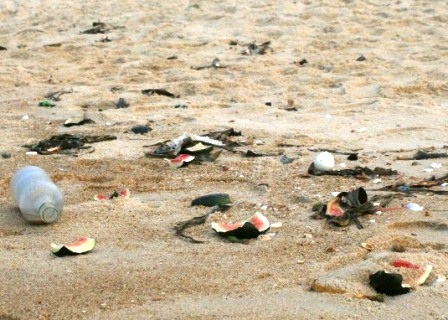 Bãi biển thành... bãi rác - 5