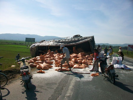 Xe chở 8 tấn gạo lật giữa quốc lộ - 1