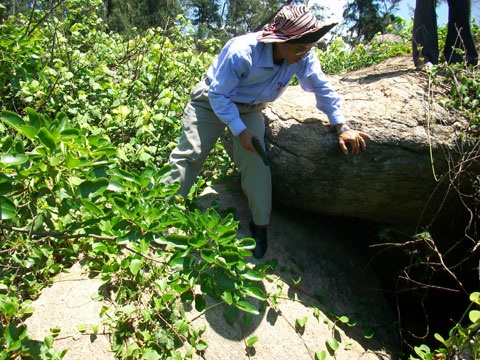 Mãnh thú xuất hiện ở vùng cửa biển Quảng Ngãi? - 4 Mãnh thú xuất hiện ở vùng cửa biển Quảng Ngãi? - 4