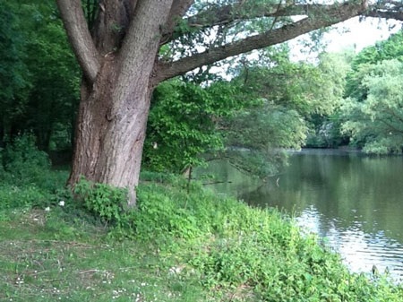 Xem Samsung Galaxy Tab 10.1v, iPad 2 “đọ” camera - 4