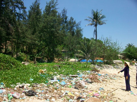 Mãnh thú xuất hiện ở vùng cửa biển Quảng Ngãi? - 1 Mãnh thú xuất hiện ở vùng cửa biển Quảng Ngãi? - 1