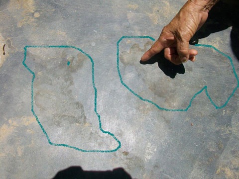 Mãnh thú xuất hiện ở vùng cửa biển Quảng Ngãi? - 2 Mãnh thú xuất hiện ở vùng cửa biển Quảng Ngãi? - 2