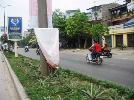 Pano, áp phích tơi tả trên đường    - 6