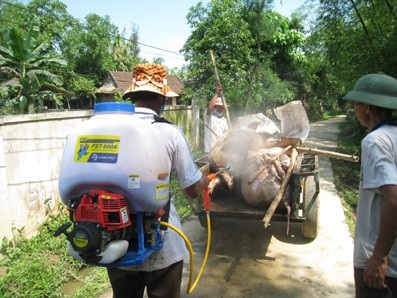 Nông dân “buồn thối ruột” vì dịch bệnh tai xanh - 1 Nông dân “buồn thối ruột” vì dịch bệnh tai xanh - 1