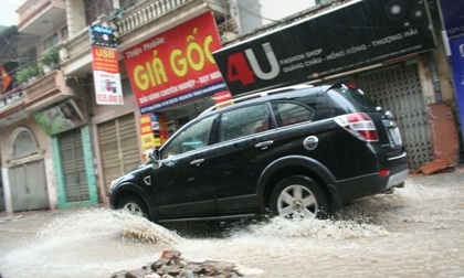 Cổ thụ đè bẹp ô tô, 5 người thoát chết hy hữu - 7