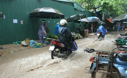 Cổ thụ đè bẹp ô tô, 5 người thoát chết hy hữu - 8