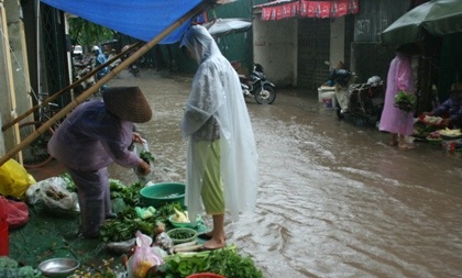 Cổ thụ đè bẹp ô tô, 5 người thoát chết hy hữu - 9