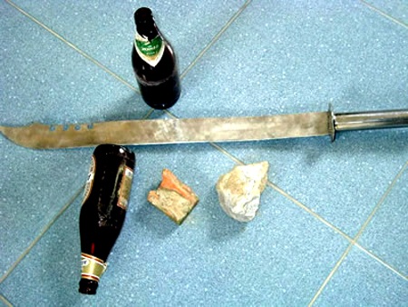 Bắt nhóm chuyên dùng taxi đi trộm chó - 2