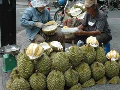 Rùng mình trái non “ngậm” thuốc là chín - 2 Rùng mình trái non “ngậm” thuốc là chín - 2