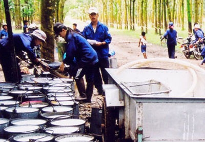 Vét sạch nguyên liệu thô để xuất khẩu - 1 Vét sạch nguyên liệu thô để xuất khẩu - 1