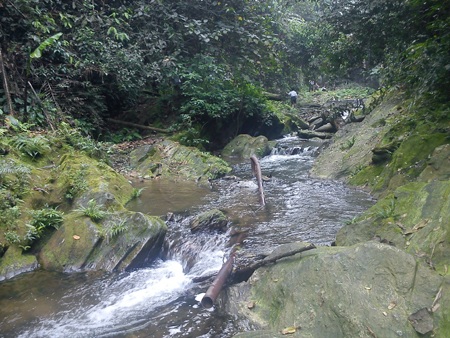 “Ngắm” hệ thống nước sạch “có một không hai” - 2