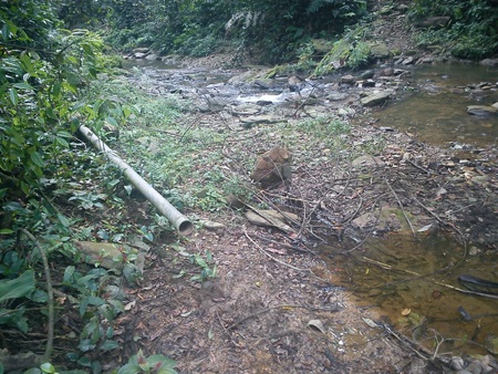 “Ngắm” hệ thống nước sạch “có một không hai” - 3