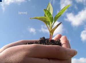 Xóa bỏ rào cản trong việc trọng dụng người tài - 1 Xóa bỏ rào cản trong việc trọng dụng người tài - 1