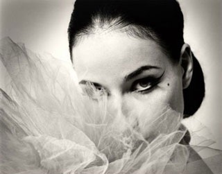 Dita Von Teese: Biểu tượng sex của cả hai giới - 1