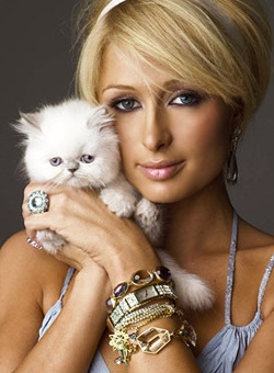 Khi Paris Hilton “cưa sừng làm nghé” - 9 Khi Paris Hilton “cưa sừng làm nghé” - 9