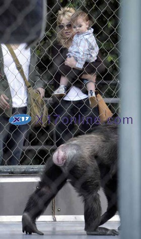 Chúc mừng sinh nhật lần thứ 25 của Britney Spears! - 2