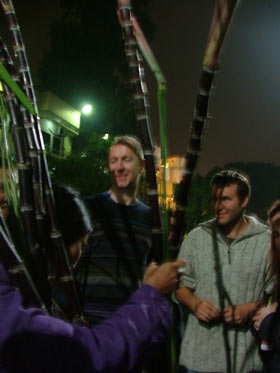 Chào xuân mới Bính Tuất - 1 Chào xuân mới Bính Tuất - 1