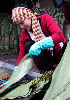 Bánh chưng Tranh Khúc vào mùa - 1 Bánh chưng Tranh Khúc vào mùa - 1