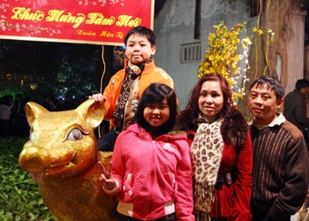 Chùm ảnh: Ra Bờ Hồ xem bắn pháo hoa - 3