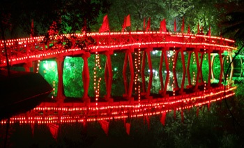 Chùm ảnh: Ra Bờ Hồ xem bắn pháo hoa - 5