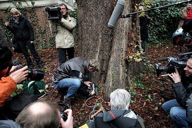 Cuộc chiến xung quanh việc "tử hình" cây dẻ của Anne Frank - 3 Cuộc chiến xung quanh việc "tử hình" cây dẻ của Anne Frank - 3