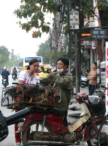 Gia cầm sống vẫn bày bán thản nhiên - 3 Gia cầm sống vẫn bày bán thản nhiên - 3