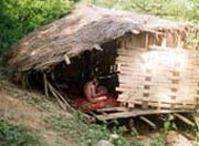 Một bé gái bị nhốt ở rừng gần 4 năm - 1 Một bé gái bị nhốt ở rừng gần 4 năm - 1