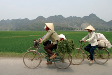 Nét trầm lắng trong dòng đời sôi động! - 6